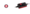 Зарядное устройство MICRO 40/12